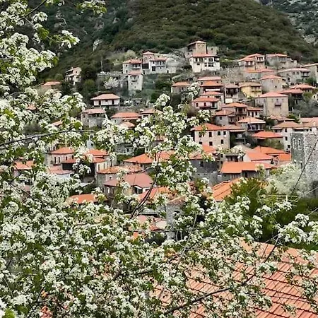 αρχοντικό της αριάδνης 别墅